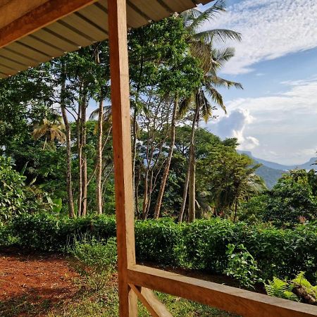 World'S View Wild Camping Salaszoi, Principe Island Santo António Exterior foto