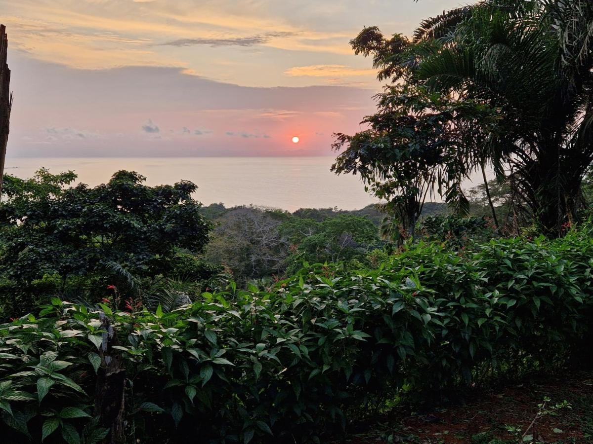 World'S View Wild Camping Salaszoi, Principe Island Santo António Exterior foto